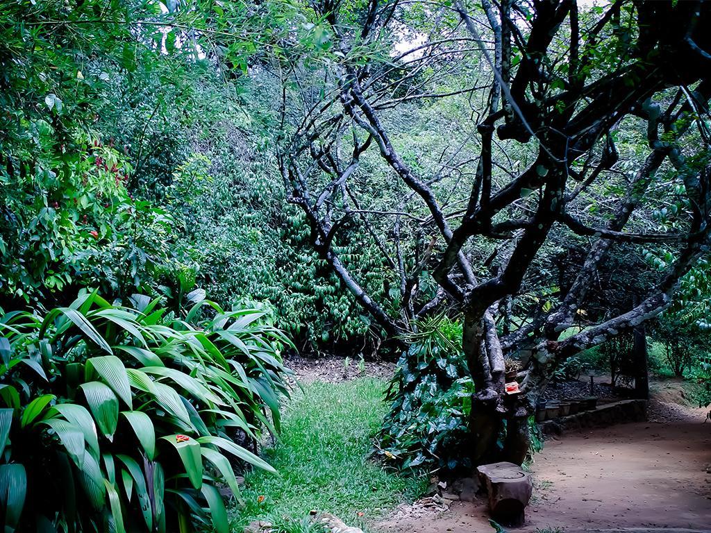 Surrey Bird Sanctuary & Holiday Resort Welimada Exterior foto